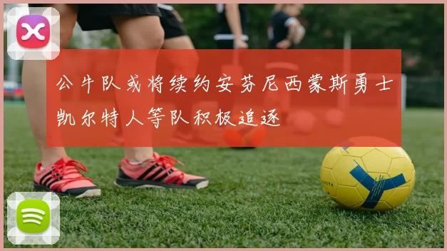 公牛队或将续约安芬尼西蒙斯勇士凯尔特人等队积极追逐